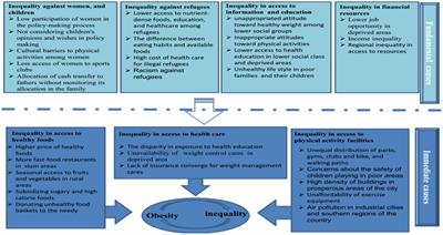 Worse becomes the worst: obesity inequality, its determinants and policy options in Iran